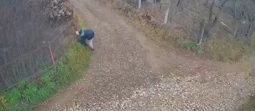 После трагедии в Зеленодольском районе жители продолжают выбрасывать собак После нападения стаи бродячих собак на девятиле...