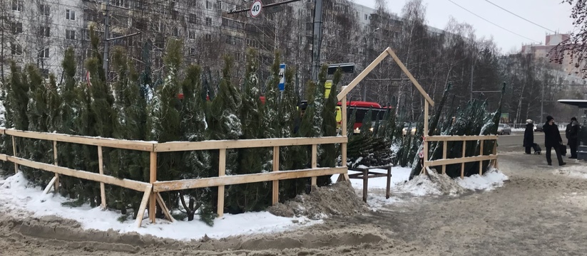 С наступлением января в городах появляется нова...