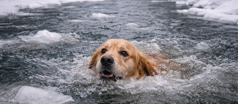 В Набережных Челнах произошёл опасный случай с ...