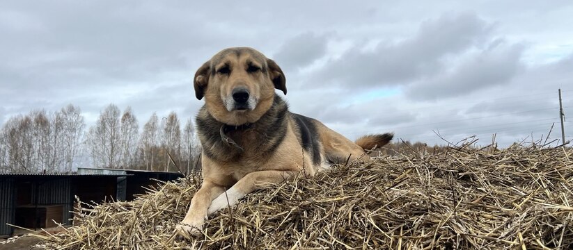 В Тукаевском районе за первый квартал года спец...