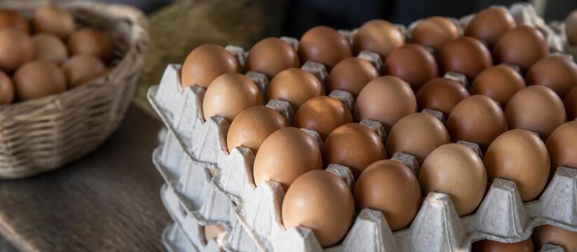 Производство яиц на Ставрополье выросло на четверть Производство яиц на Ставрополье выросло на четв...