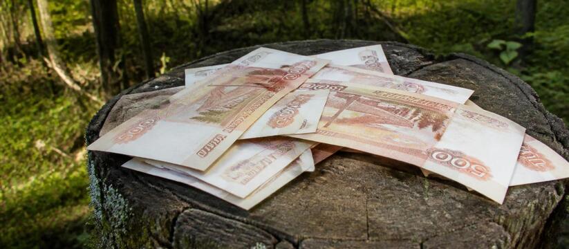 Молодым специалистам лесной отрасли Татарстана ...