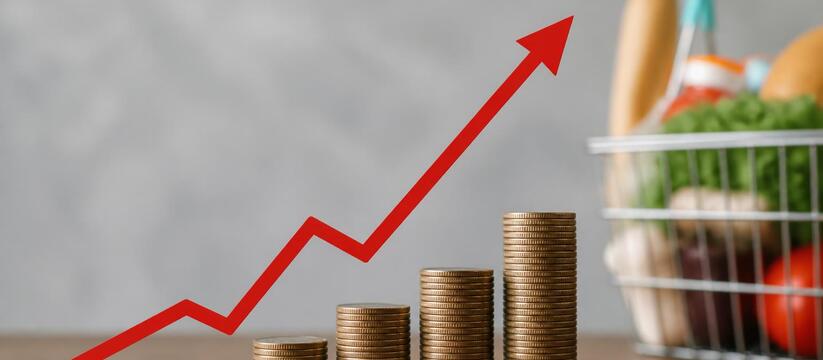 ЦБ повысил прогноз инфляции на 2026 год до 6–7% Банк России повысил прогноз инфляции на 2026 го...