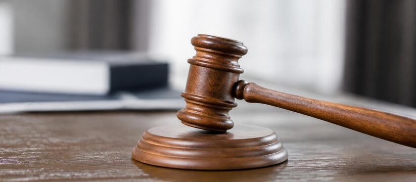 Суд Петербурга отказал совладелице ПНТ Елене Ва...