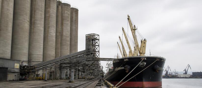 Экспорт украинской пшеницы сократился в 4,3 раза за 12 дней августа Экспорт пшеницы с Украины в августе упал в 4,3 ...