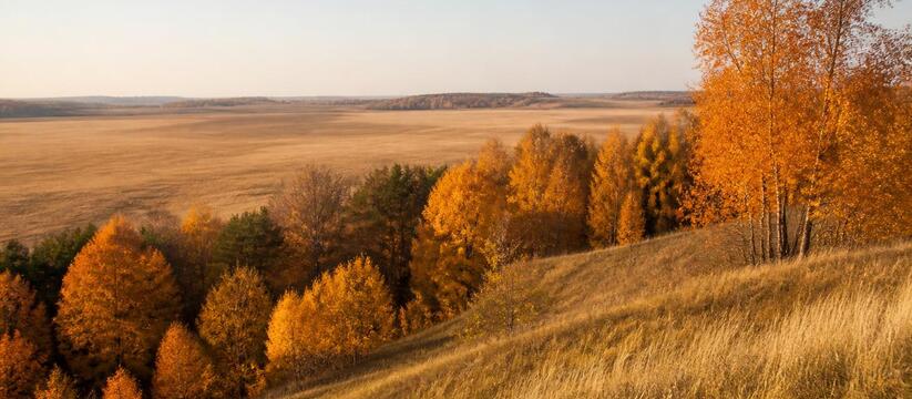 Синоптики пообещали в Татарстане до +28 градусов 3 сентября Тёплая погода до +28 градусов ожидается в Татар...