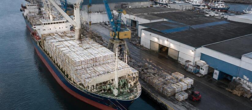 Экспорт рыбы из РФ в ЕС в июле достиг максимума за 21 месяц Россия в июле нарастила экспорт рыбы и морепрод...