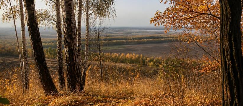 В лесах Татарстана пожароопасный сезон продлится до середины октября В Татарстане зафиксировано 372 термические точк...