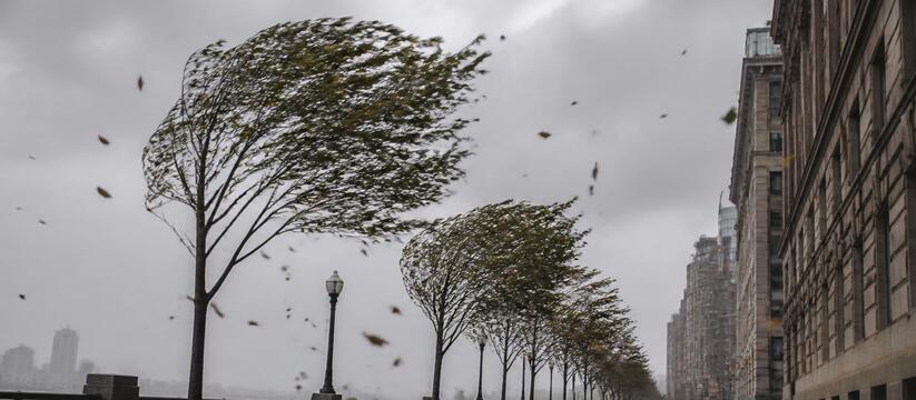 Жителей Татарстана предупредили о сильном ветре 2 октября МЧС предупреждает о сильном ветре в Татарстане ...