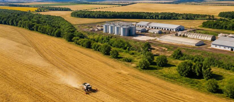 В агропромышленном комплексе Татарстана заняты ...