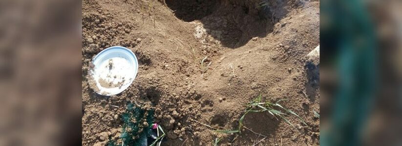 "Из-под земли раздался детский плач": Девочку откопали живой через несколько часов после похорон