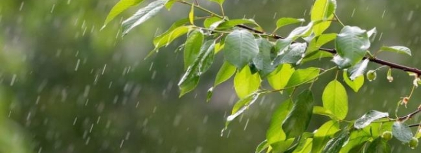 Дожди на юге и усиления ветра до 18 м/с: Синоптики о погоде в Татарстане на 24 июня