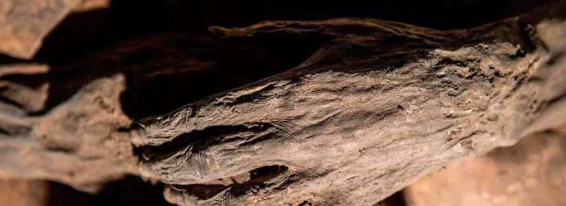 В Набережных Челнах нашли мумифицированный труп мужчины