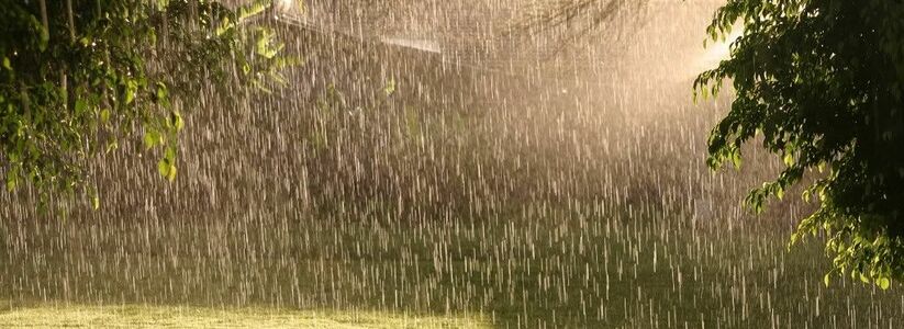 Без зонта из дома не выходить!: Гидрометцентр Татарстана о погоде на 28 июня