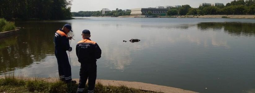 Пробыл в воде месяц: В реке Мелекеска в Челнах всплыл труп мужчины