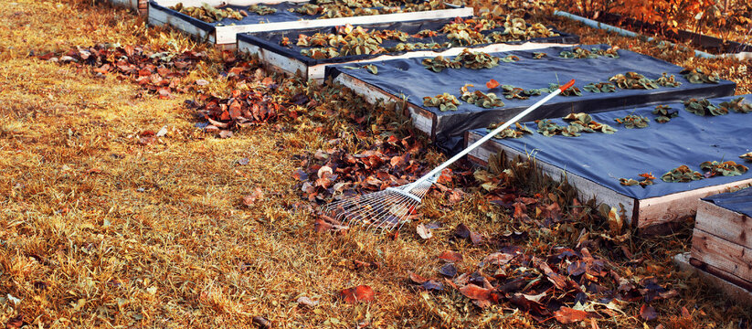 Каждый сентябрь закапываю на огороде тряпку с бензином: вот зачем так делаю — пользы на миллион и минимум трат Каждый огородник хотя бы раз сталкивался с проб...