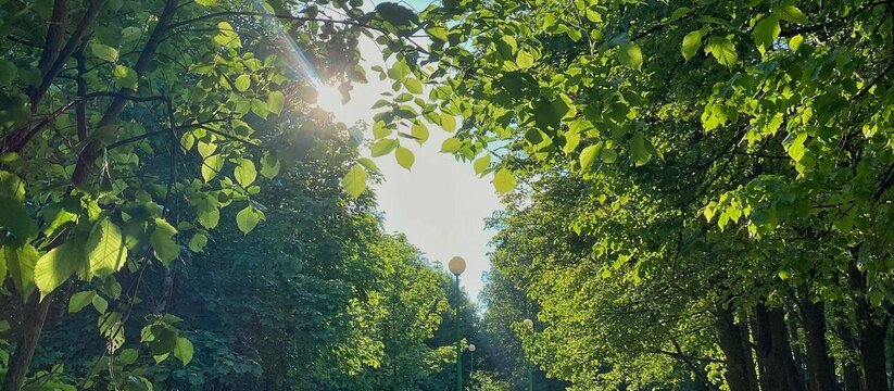 Самый большой парк «Прибрежный» в Набережных Че...