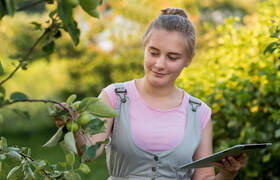 Билайн усилил 4G почти в 30 садовых товариществ...