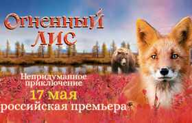 «Огненный лис»: всероссийская премьера самого рыжего фильма для всей семьи