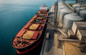 Россия наращивает экспорт агропродукции в 160 с...