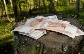 500 тысяч рублей получат молодые специалисты ле...