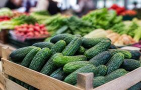 Росстат: огурцы в июле подешевели на 18%
