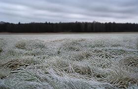 Заморозки до -1°С придут в Татарстан ночью 31 а...