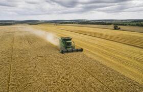 Посевы зерновых в Татарстане сократились на 8,4...