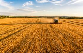 Площадь зерновых в Татарии сократилась на 8,4 п...