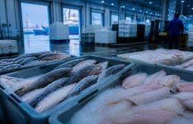 Выручка от экспорта рыбы в Корею выросла на 10%...