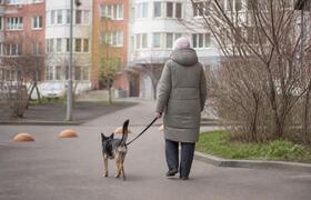 В Татарстане утвердили новые правила выгула соб...