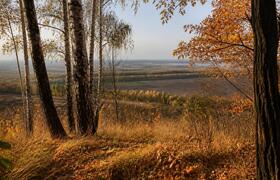 В лесах Татарстана пожароопасный сезон продлитс...