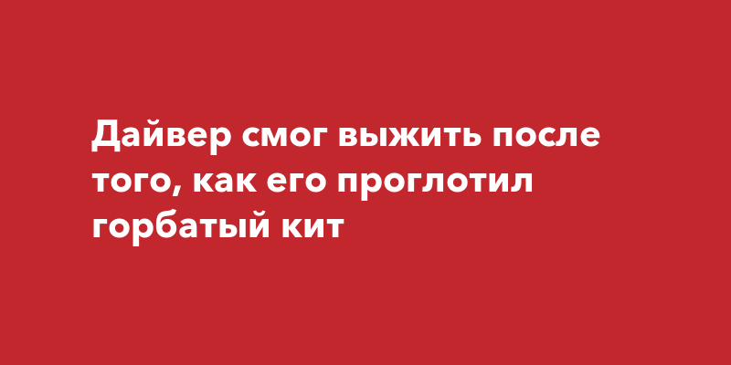 Аквалангист в сша выжил после того как его проглотил кит